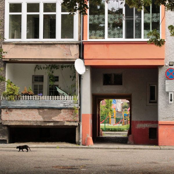 _fot.Agata Pawelec (4)