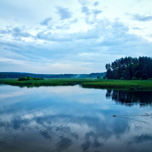 fot.Bartosz Wacławik FOTON