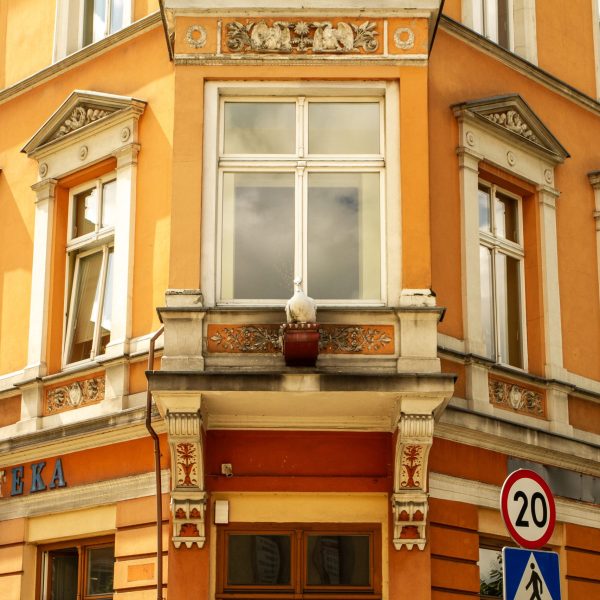 _fot.Natalia Żaba (55)
