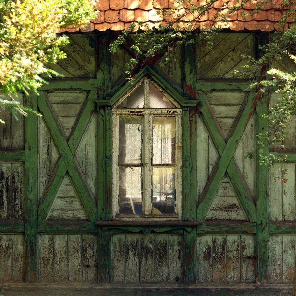 _fot.Rafał Krupa secesja_modernizm (3)
