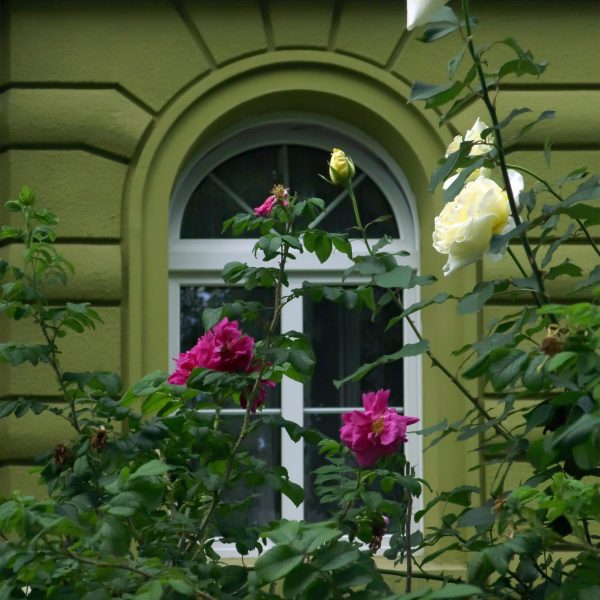 _fot.Sandra Kozieł (56)