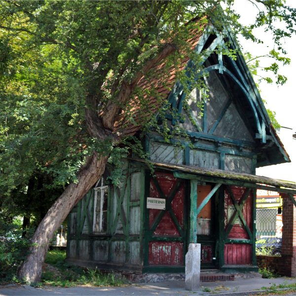 _fot.Wojek Zelmański secesja_modernizm (8)