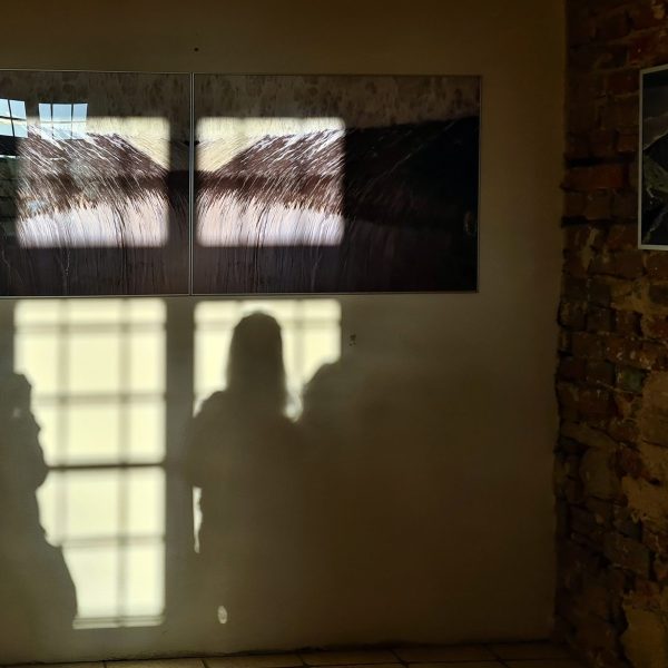 fot.Patrycja Sobczyk FOTON (2a)