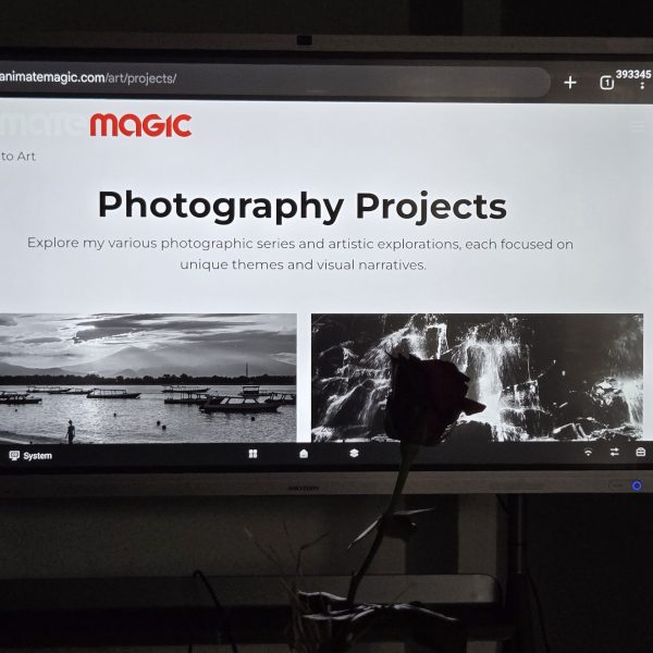 fot.Gabriela Habram-Rokosz (115)