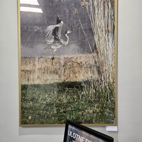 _fot.Gabriela Habram-Rokosz (11)