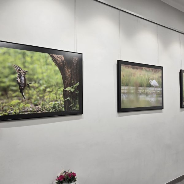 _fot.Gabriela Habram-Rokosz (17)