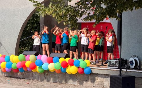 IMG_7856