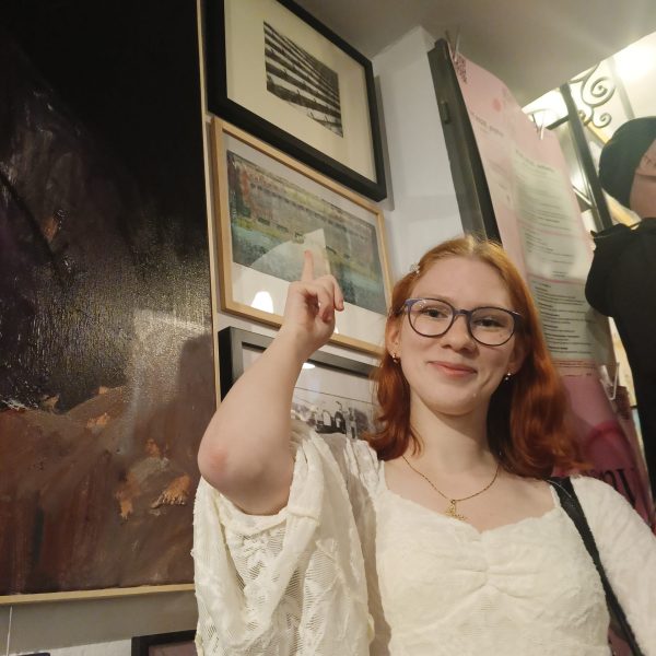 4_zdjęcia z festiwalu w Galerii „Stalowe Anioły” (2)