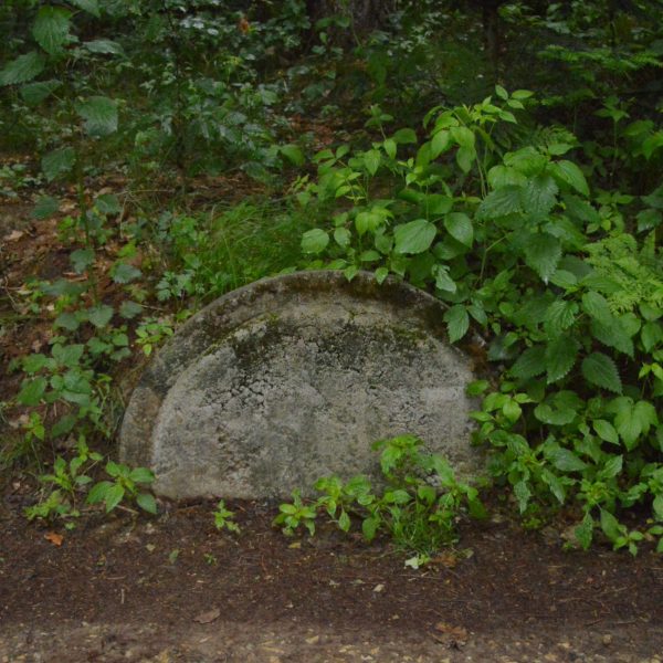 8_zdjęcia podczas pleneru w Rybniku (10)