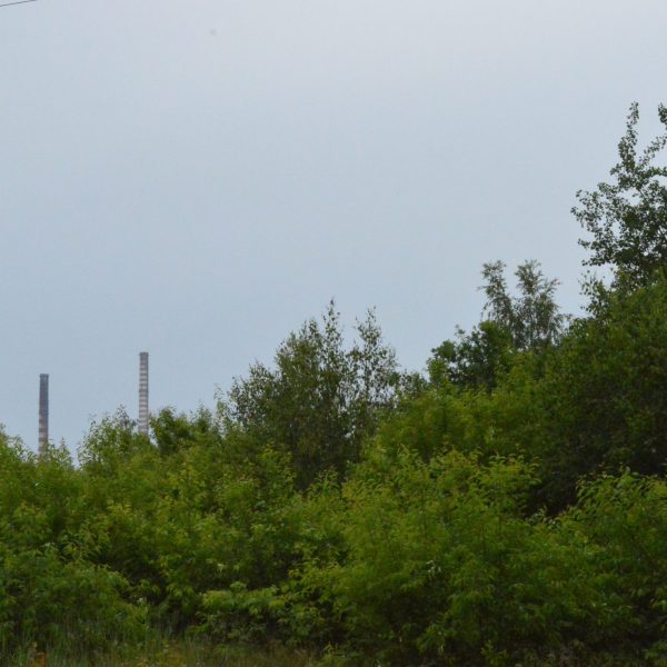 8_zdjęcia podczas pleneru w Rybniku (6)