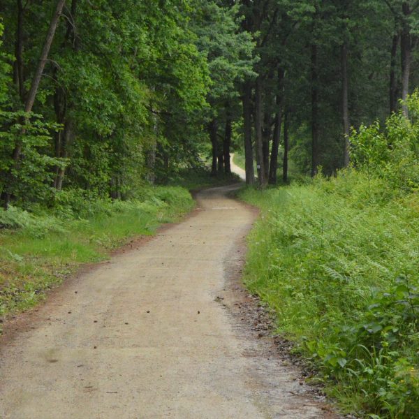 8_zdjęcia podczas pleneru w Rybniku (9)