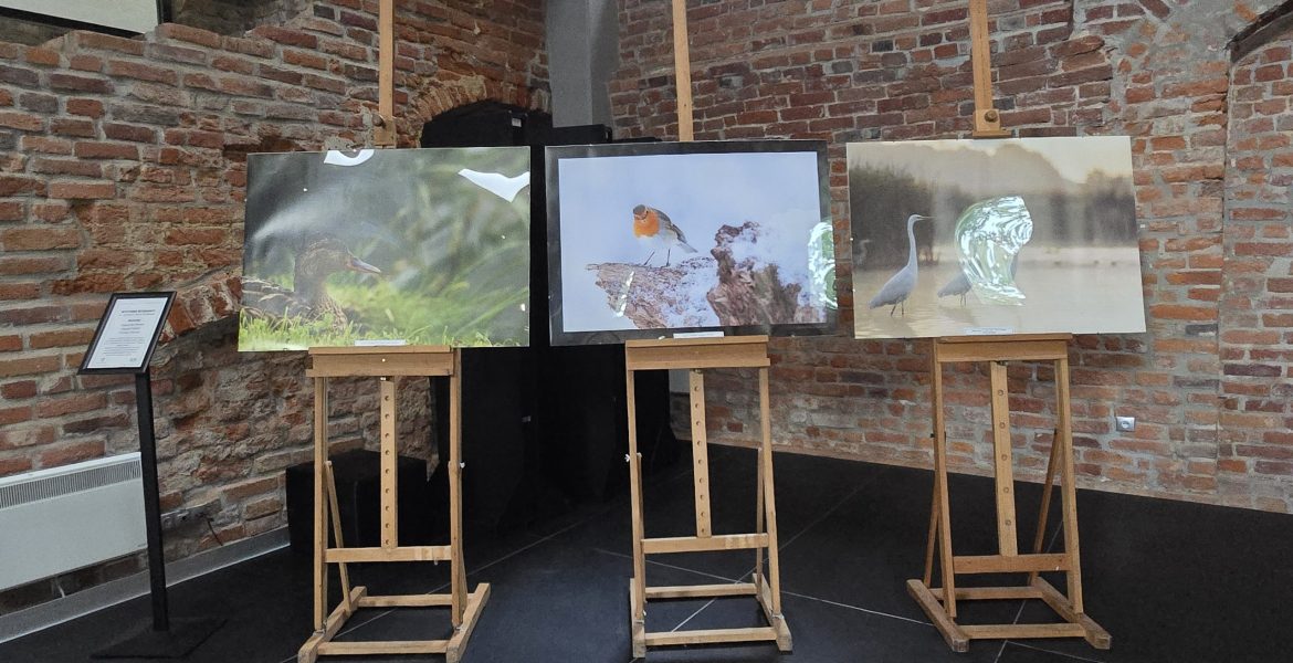 fot.Gabriela Habram-Rokosz (1)