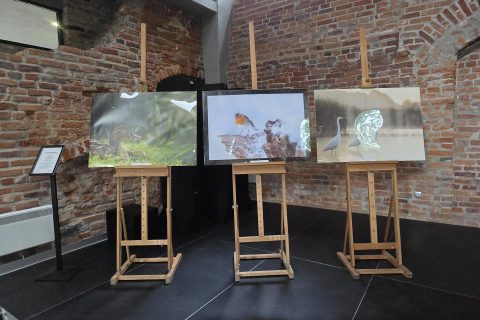 fot.Gabriela Habram-Rokosz (1)