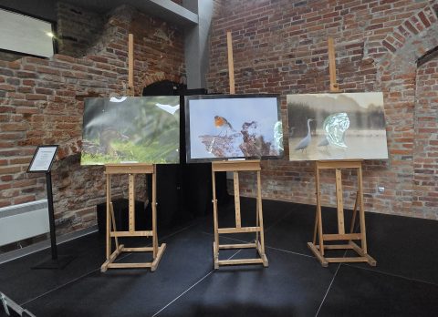 fot.Gabriela Habram-Rokosz (1)