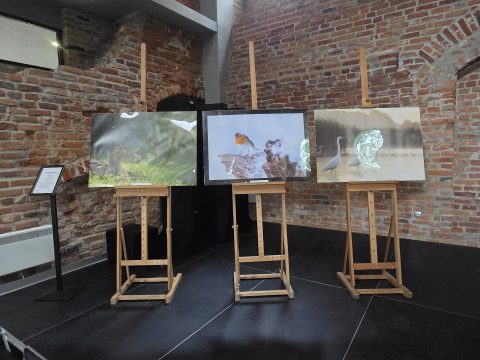 fot.Gabriela Habram-Rokosz (1)