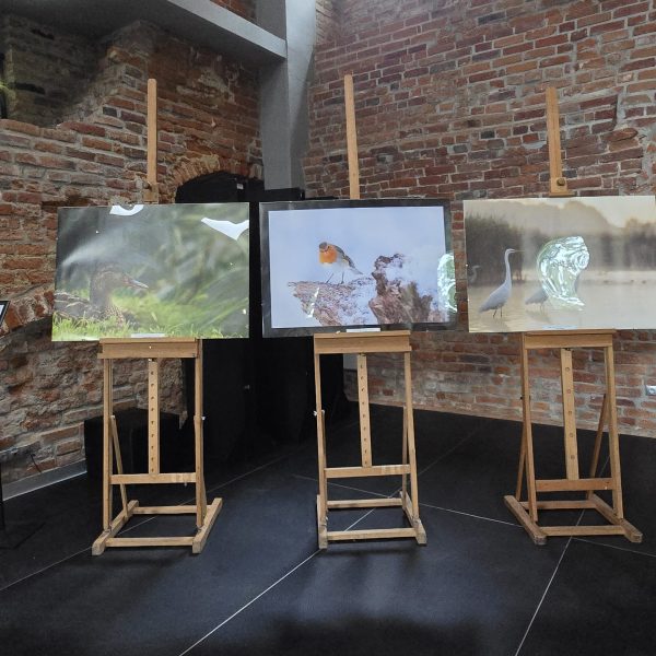 fot.Gabriela Habram-Rokosz (1)