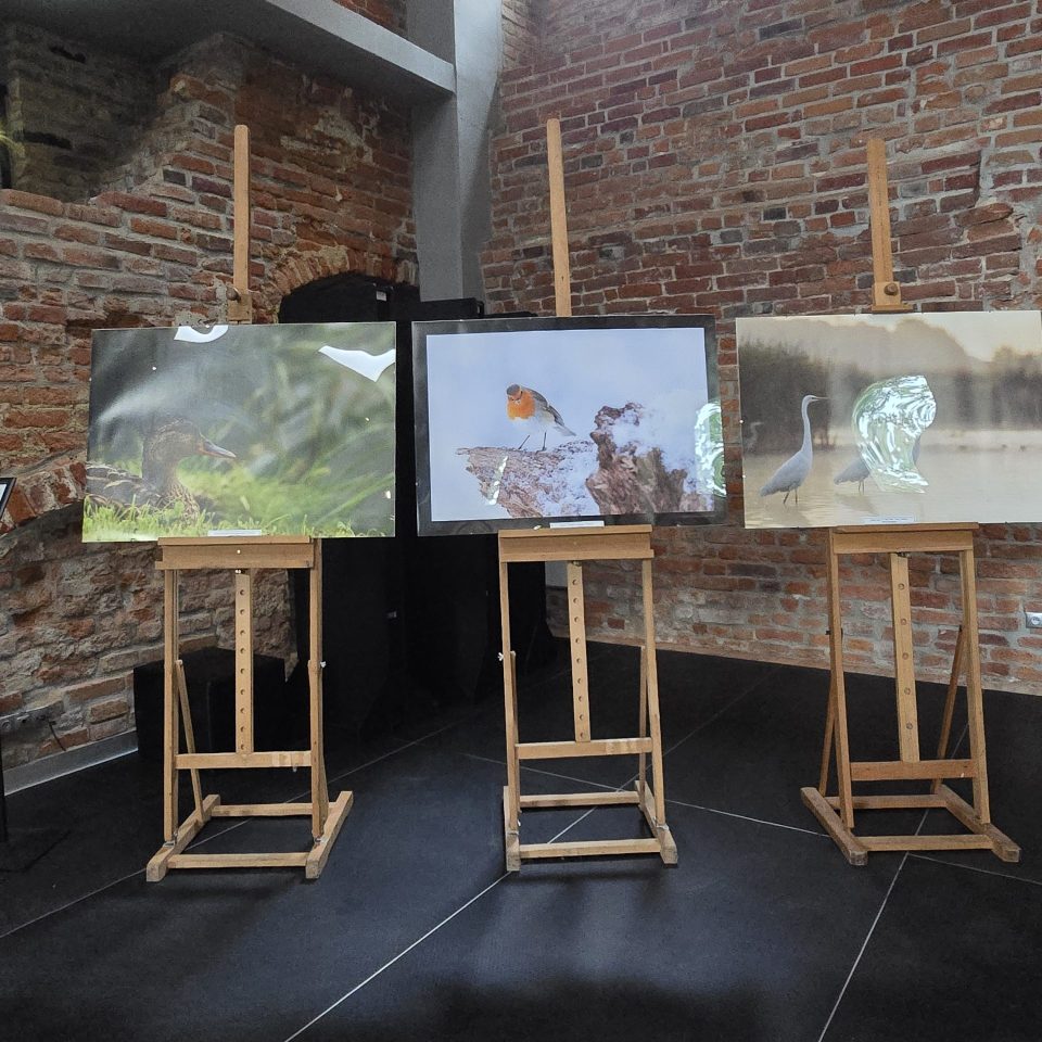 fot.Gabriela Habram-Rokosz (1)