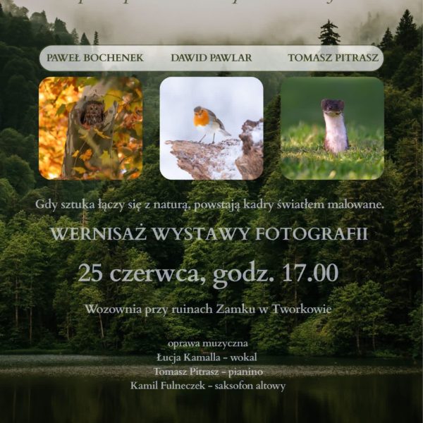 plakat Opowieści Bramy Morawskiej