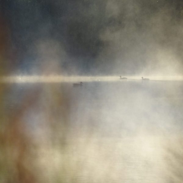 fot.Patrycja Sobczyk (1)