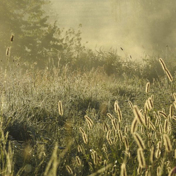 fot.Patrycja Sobczyk (3)
